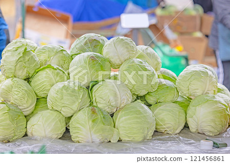 Cabbage Farmers Market Stall Cabbage Farmers Market Stall 121456861