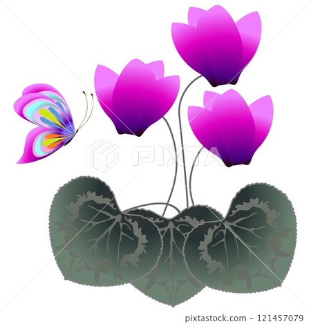 Cyclamens with a butterfly. 121457079