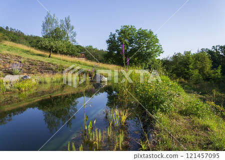 Natural swimming pond or natural swimming pool - NSP - purifying water without chemicals through biological filters and plants 121457095