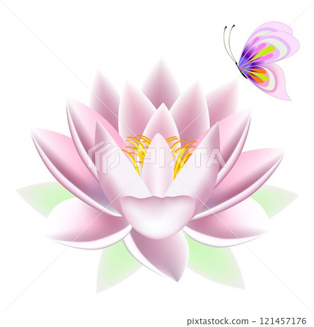 Lotus with a butterfly. Lotus with a butterfly. 121457176