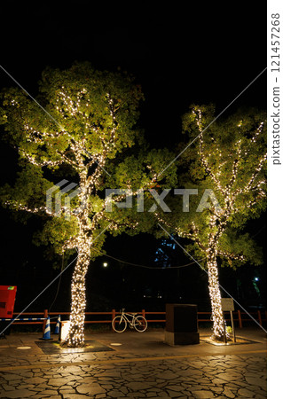 閃閃發光的冬季燈飾 閃閃發光的冬季燈飾 121457268