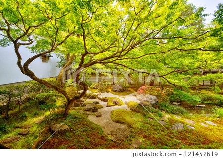 永續堂南庭園 121457619