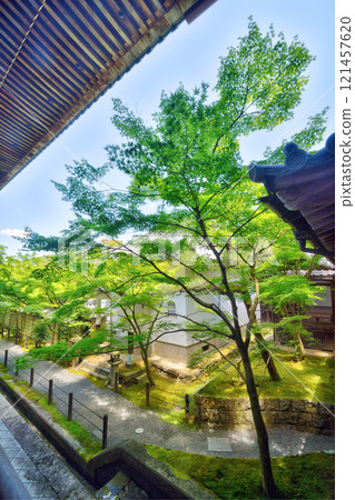 Eikando Mikage 121457620