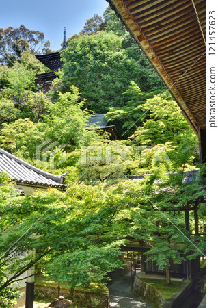 Eiken-do Taga 121457623