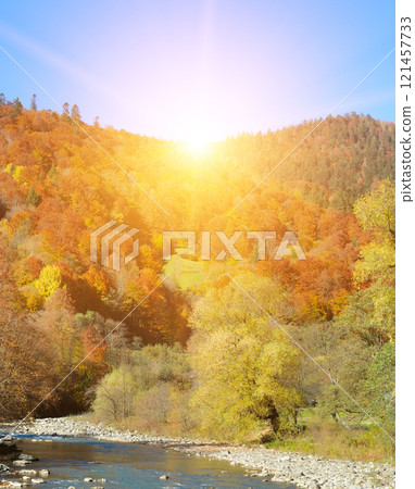 Colorful autumn landscape.A mountain river with a fast flow, an autumn forest and bright sun. Carpathian Mountains, Ukraine. 121457733