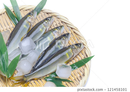 Fresh natural sweetfish 121458101