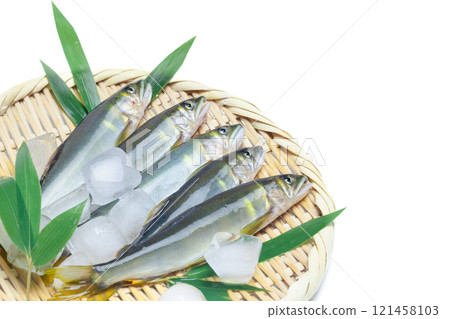 新鮮的天然香魚 121458103