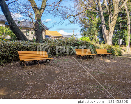 Winter park scene: Bench in the shade 121458208