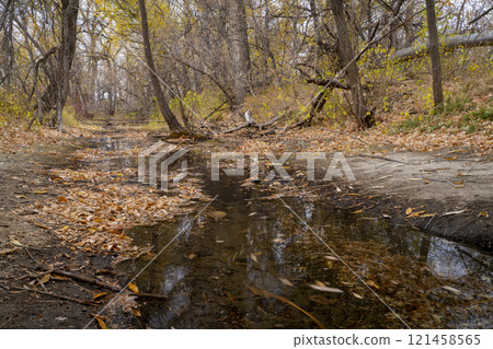 nostalgic fall landscape along the Poudre River in Fort Collins, Colorado 121458565