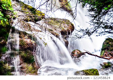 Sources of the Llobregat, Castellar de N'hug, Barcelona	 121458624