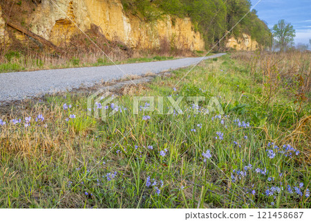 Steamboat Trace, bike trail converted from an abandoned railroad, near Peru, Nebraska, springtime morning scenery Steamboat Trace, bike trail converted from an abandoned railroad, near Peru, Nebraska, springtime morning scenery 121458687