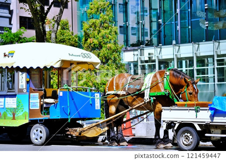 「札幌町橋」運行的札幌市景 121459447