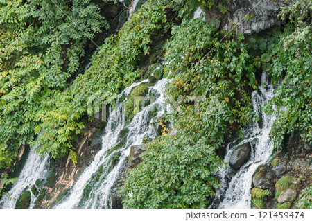 [Shirahige Falls, Biei Town] 121459474