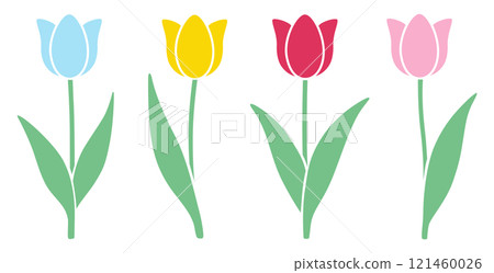 Cute tulip vector illustration 121460026