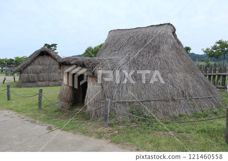 高敞古印石古村落 121460558