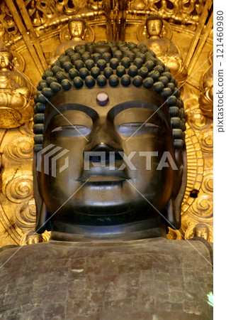 Todaiji Temple Great Buddha Hall and Great Buddha (Nara City, Nara Prefecture) Todaiji Temple Great Buddha Hall and Great Buddha (Nara City, Nara Prefecture) 121460980