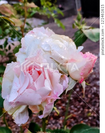 Princess Tenko Princess Tenko 121461615