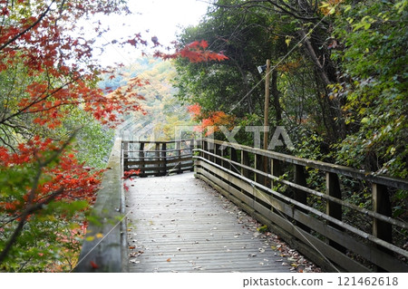 大阪府立森林星田園（金剛生駒汽船國定公園） / 大阪府交野市星田 121462618