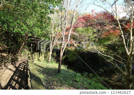 大阪府立森林星田園（金剛生駒汽船國定公園） / 大阪府交野市星田 121462627