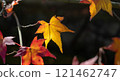 秋天的落葉 121462747