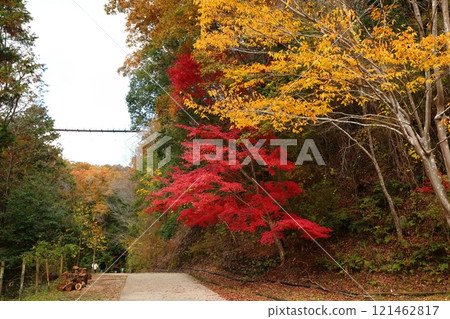 Osaka Prefectural Forest Hoshida Park (Star Swing) (Quasi-National Park) / Hoshida, Katano City, Osaka Prefecture 121462817