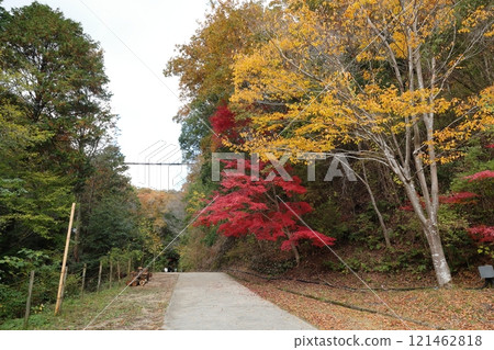 大阪府立森林星田花園（星鞦韆）（國定公園） / 大阪府交野市星田 121462818