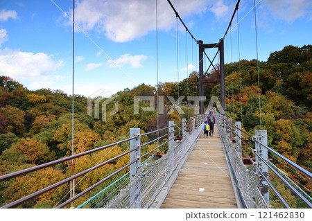 Osaka Prefectural Forest Hoshida Park (Star Swing) (Quasi-National Park) / Hoshida, Katano City, Osaka Prefecture Osaka Prefectural Forest Hoshida Park (Star Swing) (Quasi-National Park) / Hoshida, Katano City, Osaka Prefecture 121462830