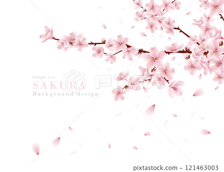 盛開的櫻花樹枝和飄揚的櫻花花瓣背景的寫實插畫 | 春天的景色 盛開的櫻花樹枝和飄揚的櫻花花瓣背景的寫實插畫 | 春天的景色 121463003