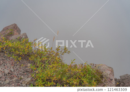 雲中的東小富士山頂 121463309