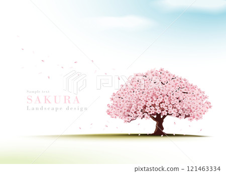 櫻花風景寫實插畫站在藍天草地上 | 春天的櫻花風景 121463334