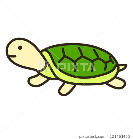 turtle turtle 121463490