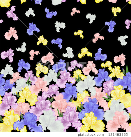 鳶尾花圖案似乎從下面綻放。 121463565