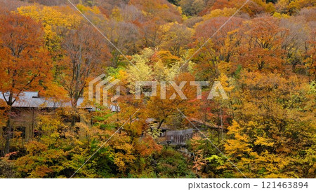 秋天的信州高山村松川溪谷 埋藏在七味溫泉秋葉中的溫泉旅館 秋天的信州高山村松川溪谷 埋藏在七味溫泉秋葉中的溫泉旅館 121463894