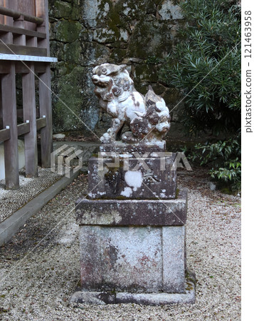 Hayao Shrine Guardian Dogs Hayao Shrine Guardian Dogs 121463958