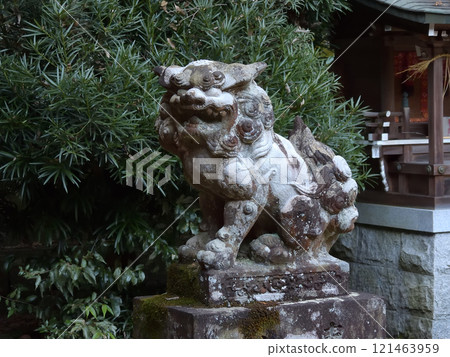 Hayao Shrine Guardian Dogs 121463959