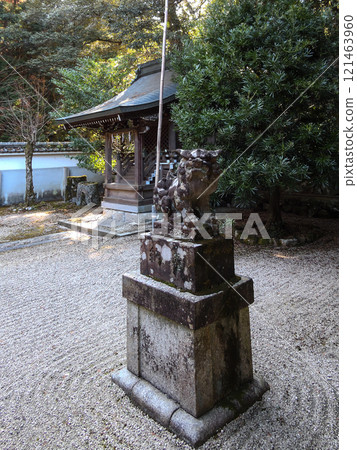 Hayao Shrine Guardian Dogs 121463960