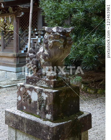 早尾神社的守護犬 早尾神社的守護犬 121463961