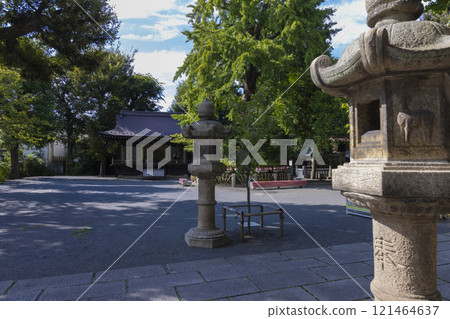 The dance hall and sacred tree of Shichisha Shrine [Traditional image] 121464637