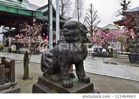 Komainu (guardian lion) at Susanoo Shrine Komainu (guardian lion) at Susanoo Shrine 121464663