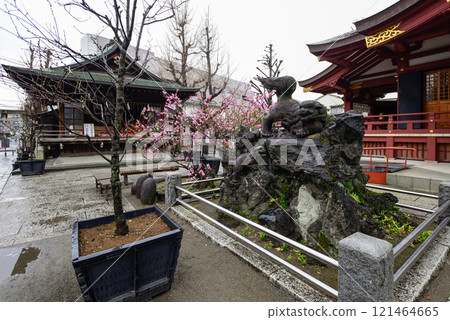 須佐能神社的守護犬 須佐能神社的守護犬 121464665