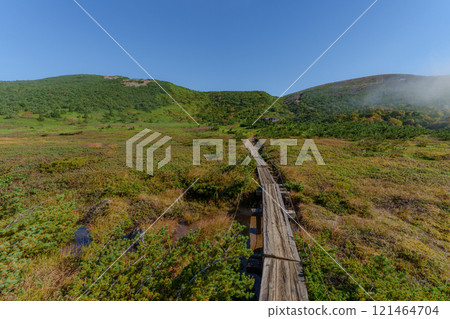 通往蘇卡希拉避難小屋的木板路 121464704