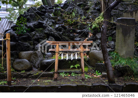 須佐野神社（須佐野神社） 藤塚/小津河原富士 121465046