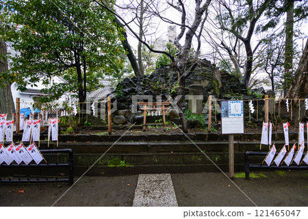 須佐野神社（須佐野神社） 藤塚/小津河原富士 121465047