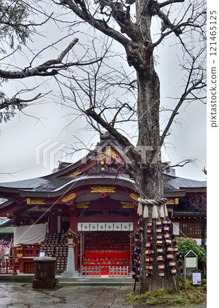 須佐之男神社(須佐野神社)養育孩子的銀杏 須佐之男神社(須佐野神社)養育孩子的銀杏 121465125