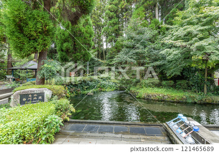 熊本縣阿蘇市，著名的白川水源，水色秀麗 121465689