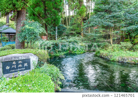 Aso City, Kumamoto Prefecture: The famous Shirakawa spring, filled with pure water 121465701