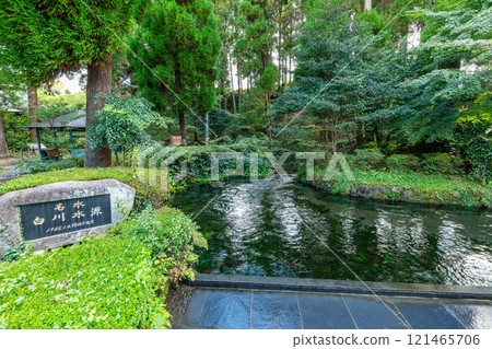 熊本縣阿蘇市，著名的白川水源，水色秀麗 121465706