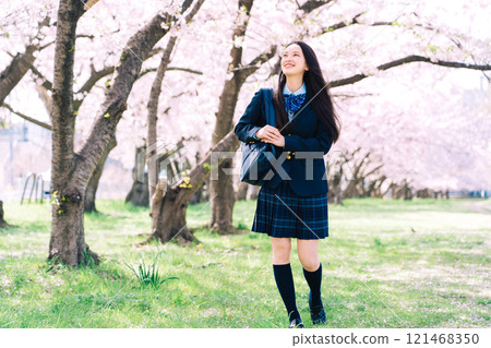 Row of cherry blossom trees and high school students (high school girls) 121468350
