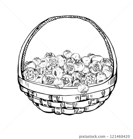 Blueberry blackberry in weaved basket, hand drawn in ink vector, heap of ripe picked forest sketch berry harvest. Seamless banner illustration, for restaurant, cafe menu, recipe book, farmers market 121468420