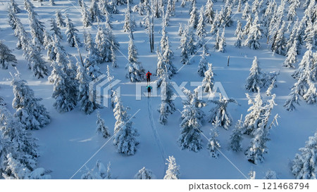 Aerial view of ski touring man and woman with snow shoes crossing winter mountains, fresh snow. Aerial view of ski touring man and woman with snow shoes crossing winter mountains, fresh snow. 121468794